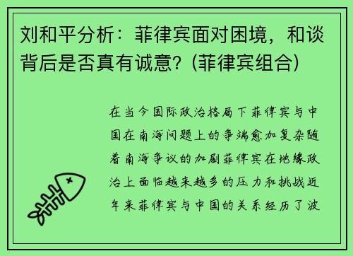 刘和平分析：菲律宾面对困境，和谈背后是否真有诚意？(菲律宾组合)