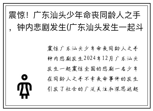 震惊！广东汕头少年命丧同龄人之手，钟内悲剧发生(广东汕头发生一起斗殴)