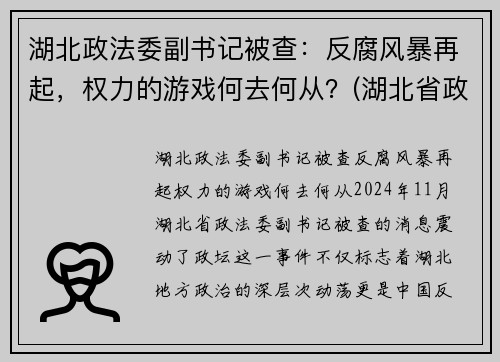 湖北政法委副书记被查：反腐风暴再起，权力的游戏何去何从？(湖北省政法委副书记)